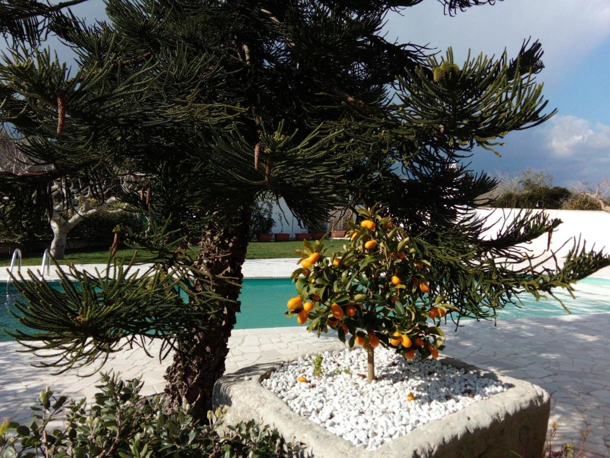 Casa Vacanza Augusto ウッジャーノ・ラ・キエーザ エクステリア 写真
